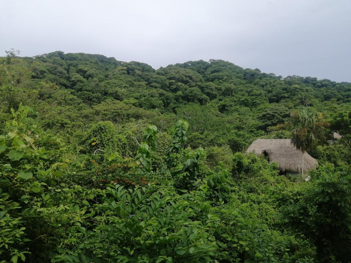 Hostal Zirumake Dentro del Parque Tayrona Zaino Exterior foto