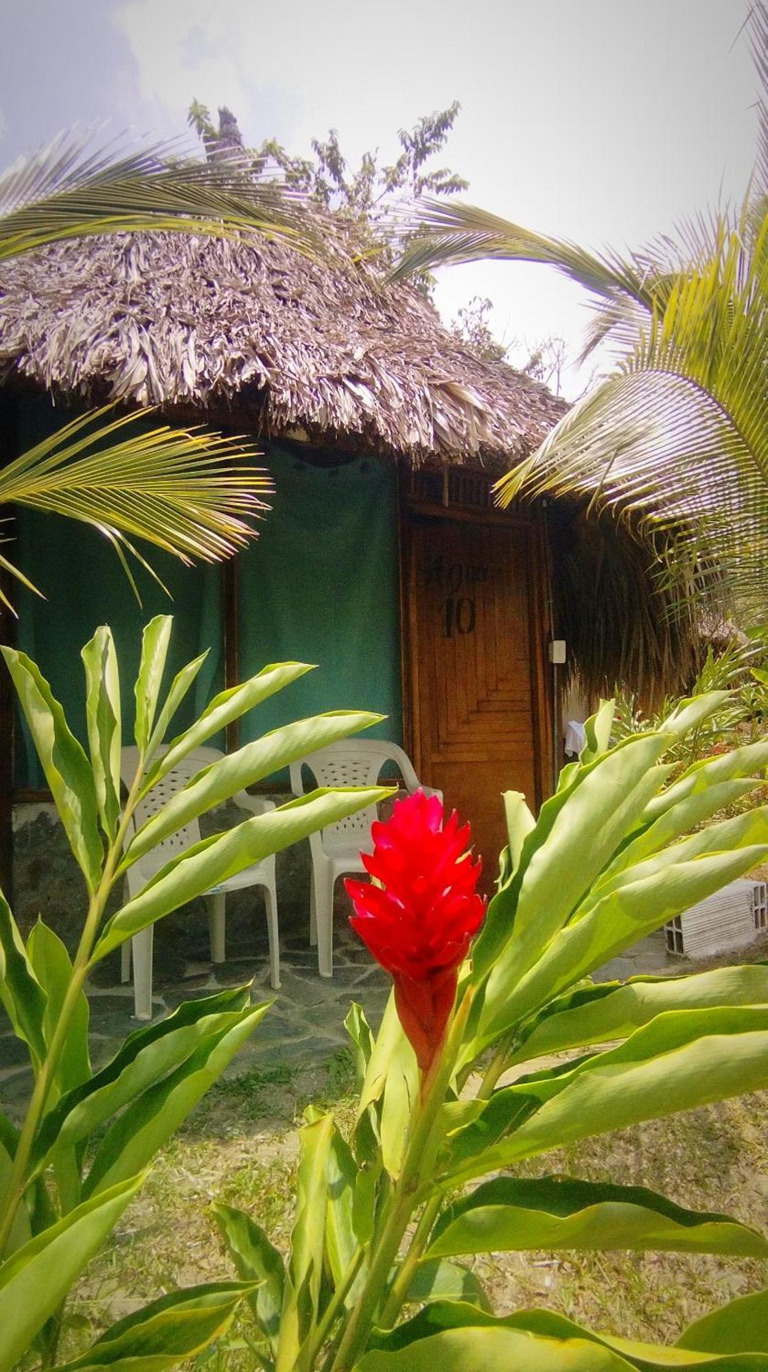 Hostal Zirumake Dentro del Parque Tayrona Zaino Exterior foto