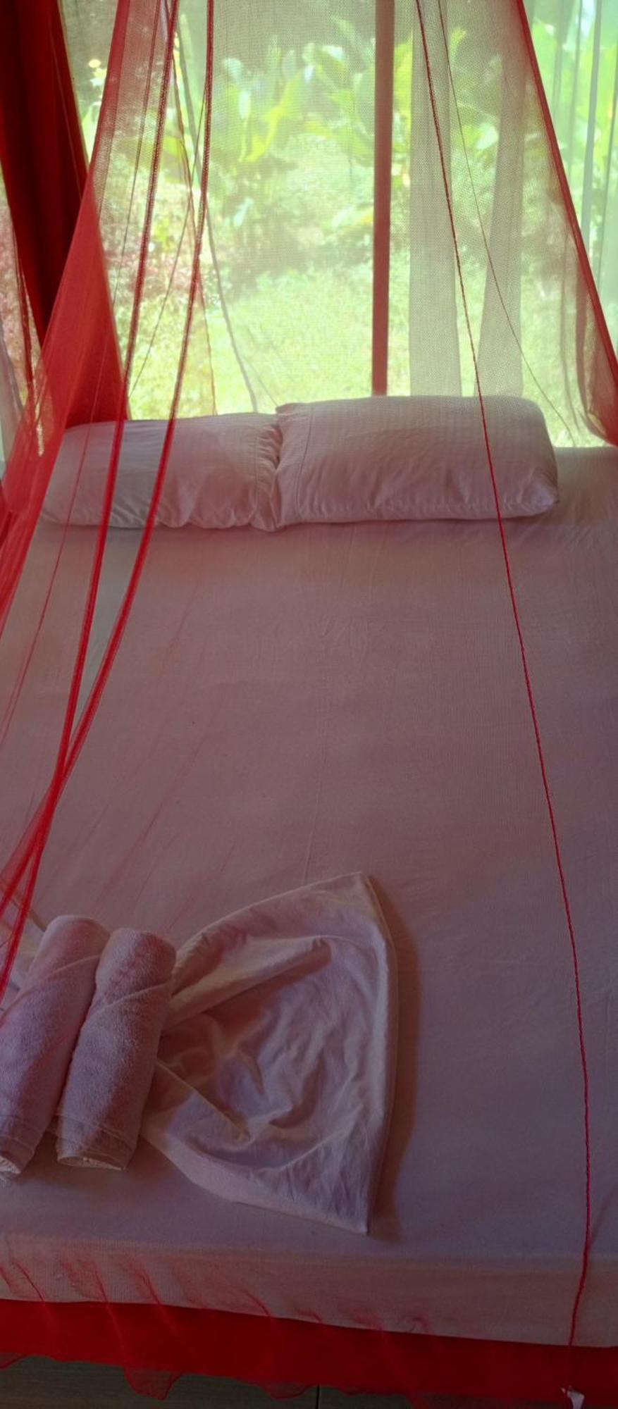 Hostal Zirumake Dentro del Parque Tayrona Zaino Exterior foto
